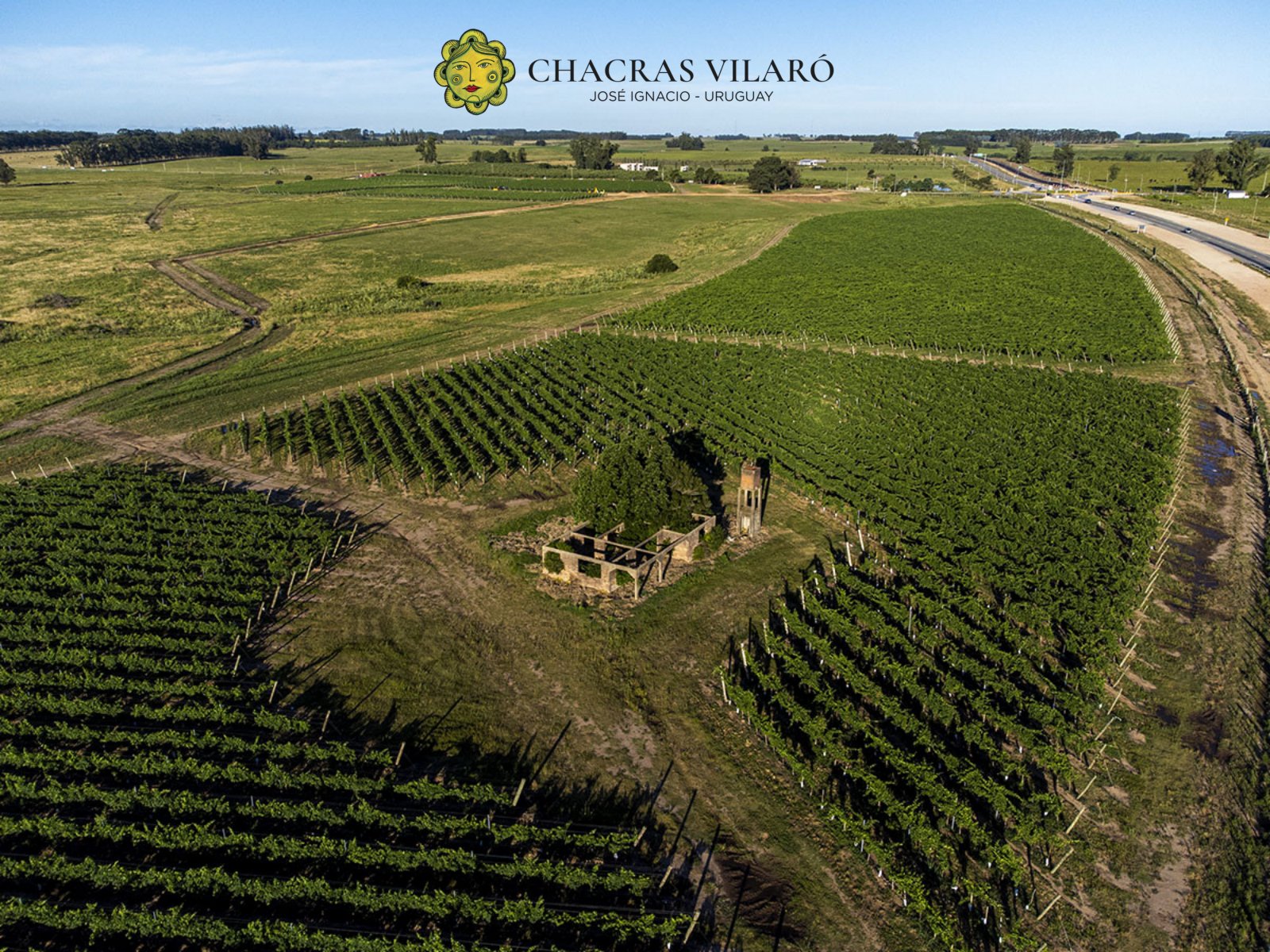 Foto principal de Chacras Vilaró · Lote 6 – Chacra de 5 ha en zona de reserva natural, José Ignacio en José Ignacio · Uruguay
